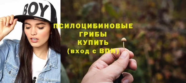 бутират Щёлкино