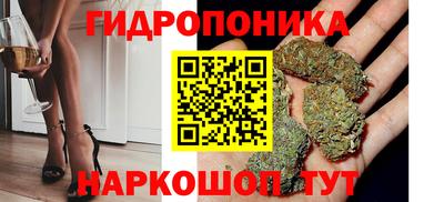 индика Гусиноозёрск