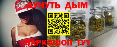 индика Гусиноозёрск
