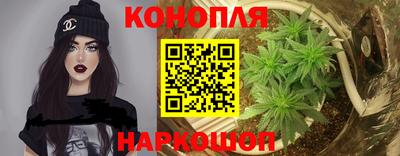 индика Гусиноозёрск