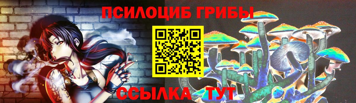 Сорочинск  Галлюциногенные грибы мухоморы  Вход с VPN  Псилоцибиновые грибы Psilocybine cubensis 